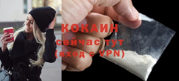 сатива Козельск