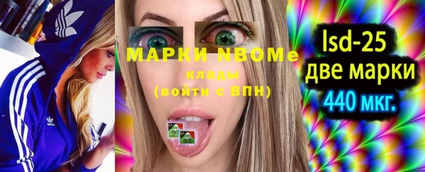 индика Валдай