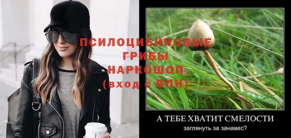 меф Коряжма