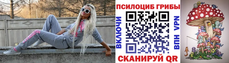 наркота  Кузнецк  Псилоцибиновые грибы прущие грибы 
